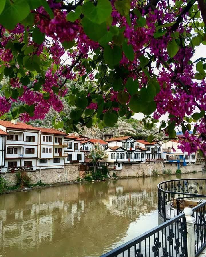 Sehri̇-Zade Yalisi Hotel Amasya Bagian luar foto
